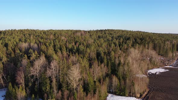 Spring Forest In Finland Filmed By Drone