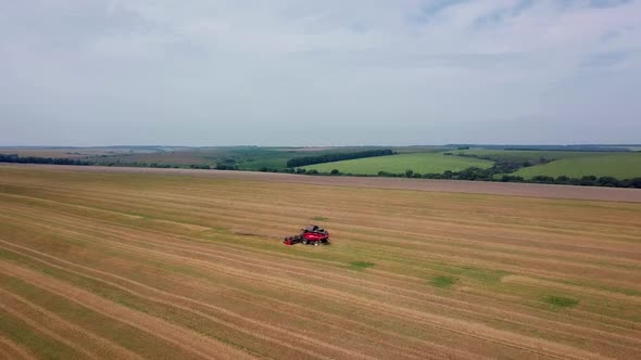 Grain harvest. Agricultural machinery for harvesting grain in action. Aerial view.