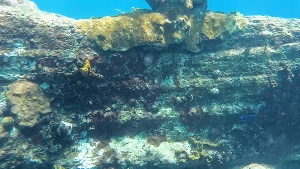 Underwater footage of coral head as camera comes to the surface of the sea