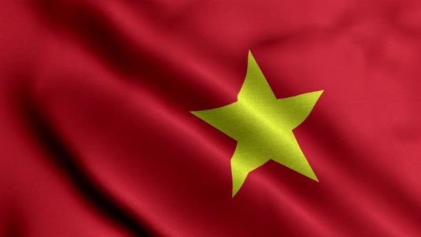 Flag Of Vietnam