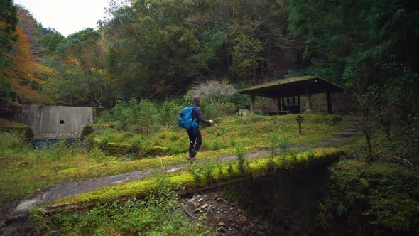 Pan, female walks along mossy trail, Kumano Kodo Japan