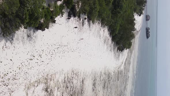 Vertical Video of the Ocean Near the Coast of Zanzibar Tanzania Aerial View