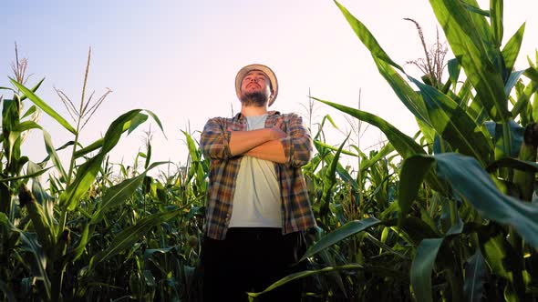 Bottom View of Young Man Farmer in Hat is Standing in Corn Field Looking Forward with His Arms