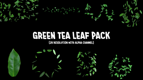 Green Tea Leaf Pack (8 videos)
