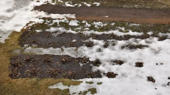 Snow Melting on a Grass Under the Spring Sun