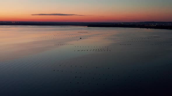 Mediterranean mussel farm in the Mar Piccolo of Taranto