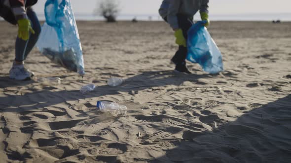 A Group of Volunteers Collect Recyclable Plastic on the Beach