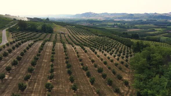 Drone view of fields, Cellarengo, Piemonte, Italy