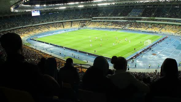 Fan Drinking Alcohol During Football Match Stadium Arena Evening