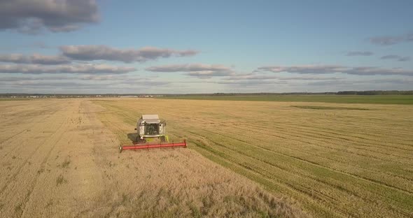 Bird Eye View Thresher Harvests Ripe Cereal Against Sky