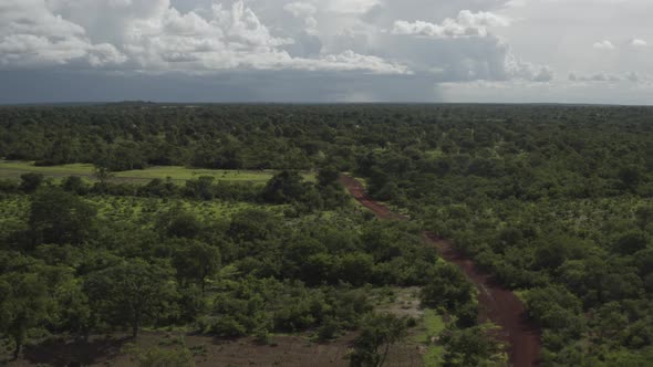 Africa Mali Forest And Road Aerial View