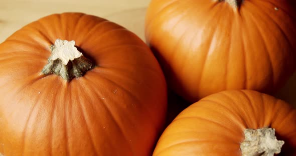 Beautiful Orange Pumpkin on a Wooden Background