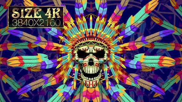 Indian Skull Head 01 alt