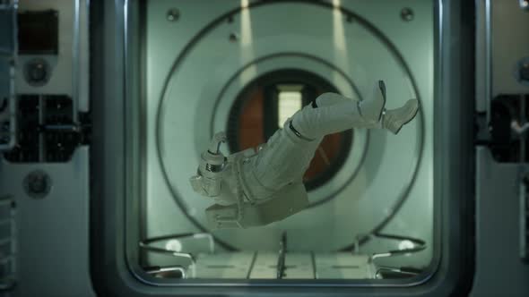 Astronaut Inside the Orbital Space Station alt