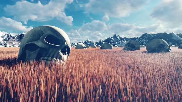 Skulls on Red Grass