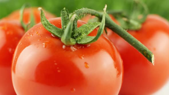 Cherry tomatoes close-up. Rotating on a green background Macro shot. Garden, gardening concept.