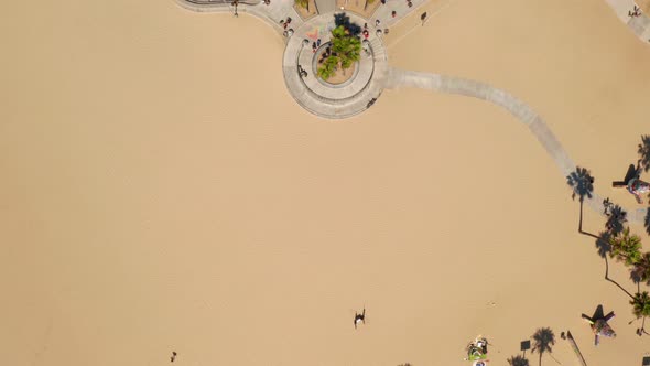 Aerial View of the Skate Park at the Venice Beach California