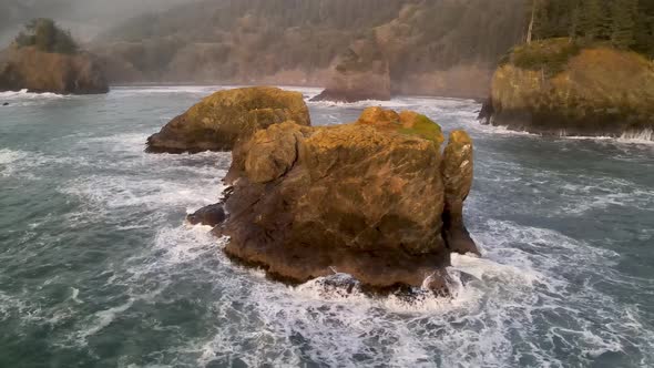 Aerial of the rugged coastline of Oregon, USA