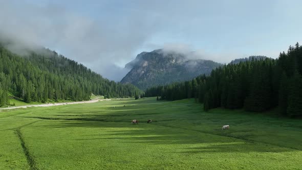 Lake of Misurina, aerial view of Dolomites and the hills around it