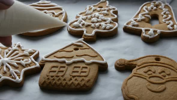 Christmas Holiday Gingerbread Cookie