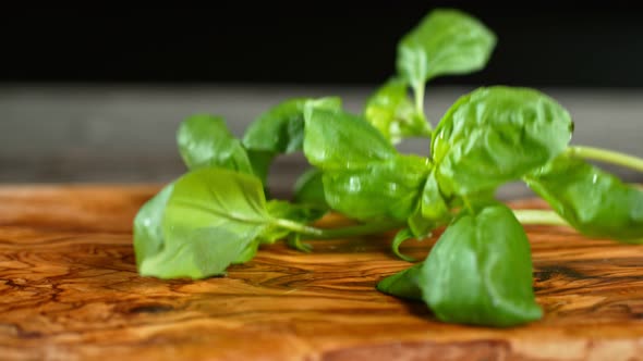 Super Slow Motion Shot of Fresh Basil Falling on Wooden Cutting Board at 1000Fps