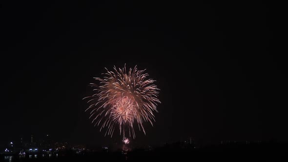 Video Real Golden Shining Fireworks with Bokeh Lights in the Night Sky