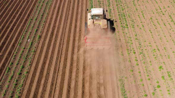 Agricultural Machinery in the Potato Field Cultivates the Land