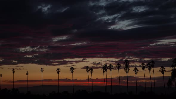 Colorful Sunset Clouds Behind Palm Trees