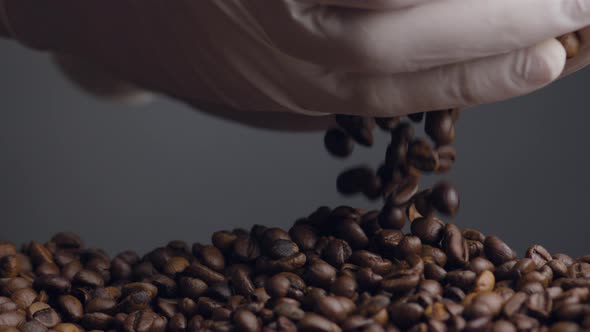 Roasted Coffee Seeds Pouring Out of Hands in Gloves Close Up