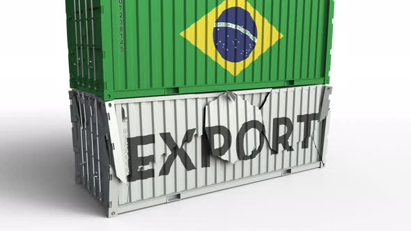 Container with Flag of Brazil Breaking Container with EXPORT Text alt