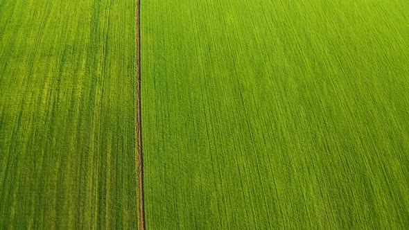 Aerial View From Flying Drone at Green Field