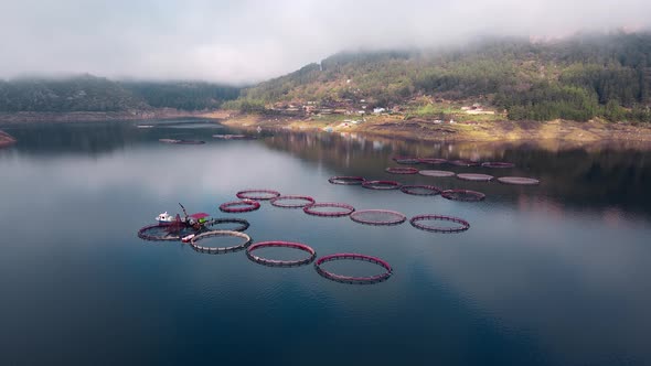 Fish farm with floating circle cages