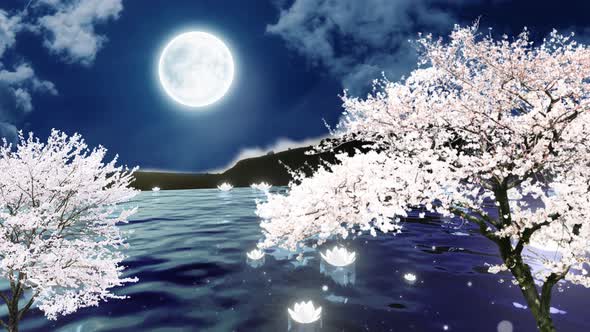 Night Landscape | Lotus Flower | Moon Night | Cherry blossom