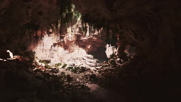 Cave in an Extinct Volcano Covered with Grass and Plants