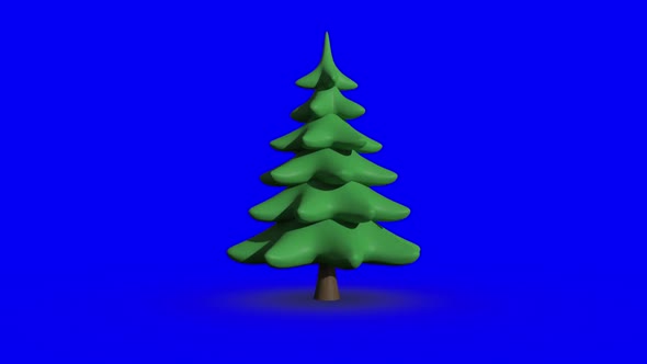 Revolving fir tree on blue screen