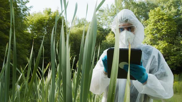 Chemist Wearing Ppe Suit Typing in Gadget Tablet Examining Plants Leaves Sample for Toxicity Testing