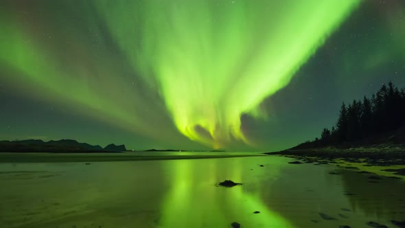 Alaska Aurora Borealis, Northern Lights 4K Timelapse