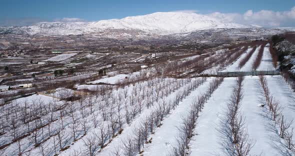 Aerial view of a dry vineyard in the snow, Golan Heights, Israel.