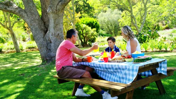 Happy family interacting with each other while having meal in park 4k