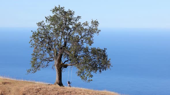 Woman on a tree swing overlooking the  Ocean