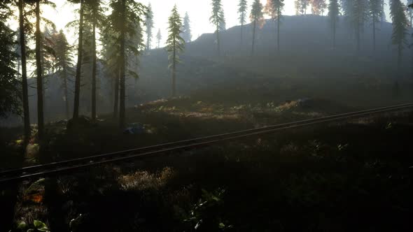 National Forest Recreation Area and the Fog with Railway