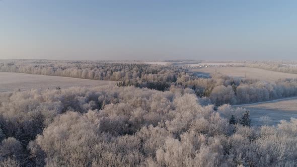 Winter Landscape in Countryside