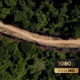AH - Top Aerial View Of Tropical Rainforest - VideoHive Item for Sale