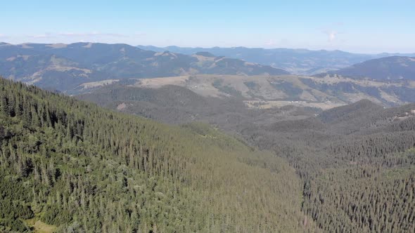 Aerial Panoramic View of Green Mountain Range and Hills in Valley of Carpathian