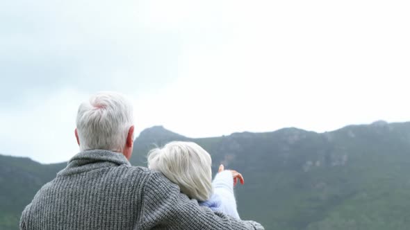 Happy senior couple pointing at view