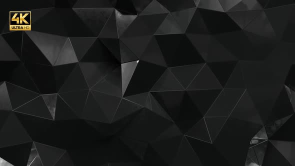 Black Low Poly With Glass 4K