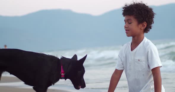 AfricanAmerican Child Plays with a Black Dog on the Seashore Against the Background of Waves and