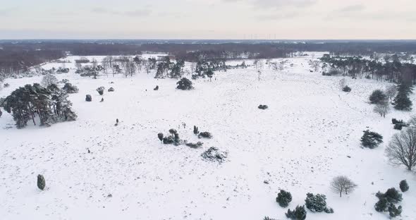 Aerial view of a landscape with snow, Buurserzand, Netherlands.