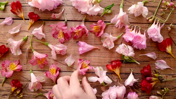 Hands taking flowers from a table close up