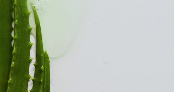 Alora vera leaf with juice, gel runs of on white background